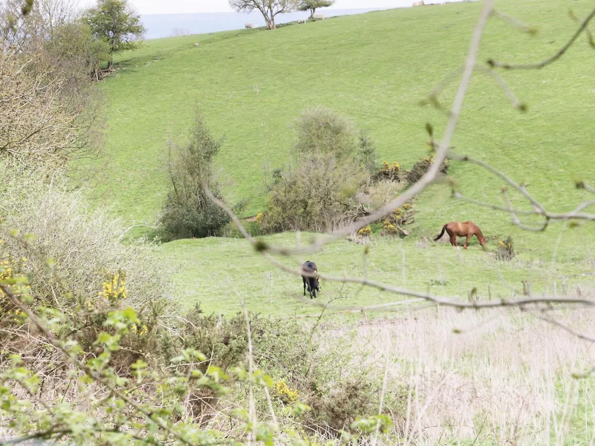 16 Badgers Retreat Villa Richmond  Holiday home Richmond (North Yorkshire)